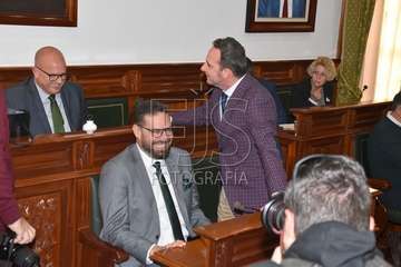 Pleno ordinario de enero de 2020 (Foto TA)